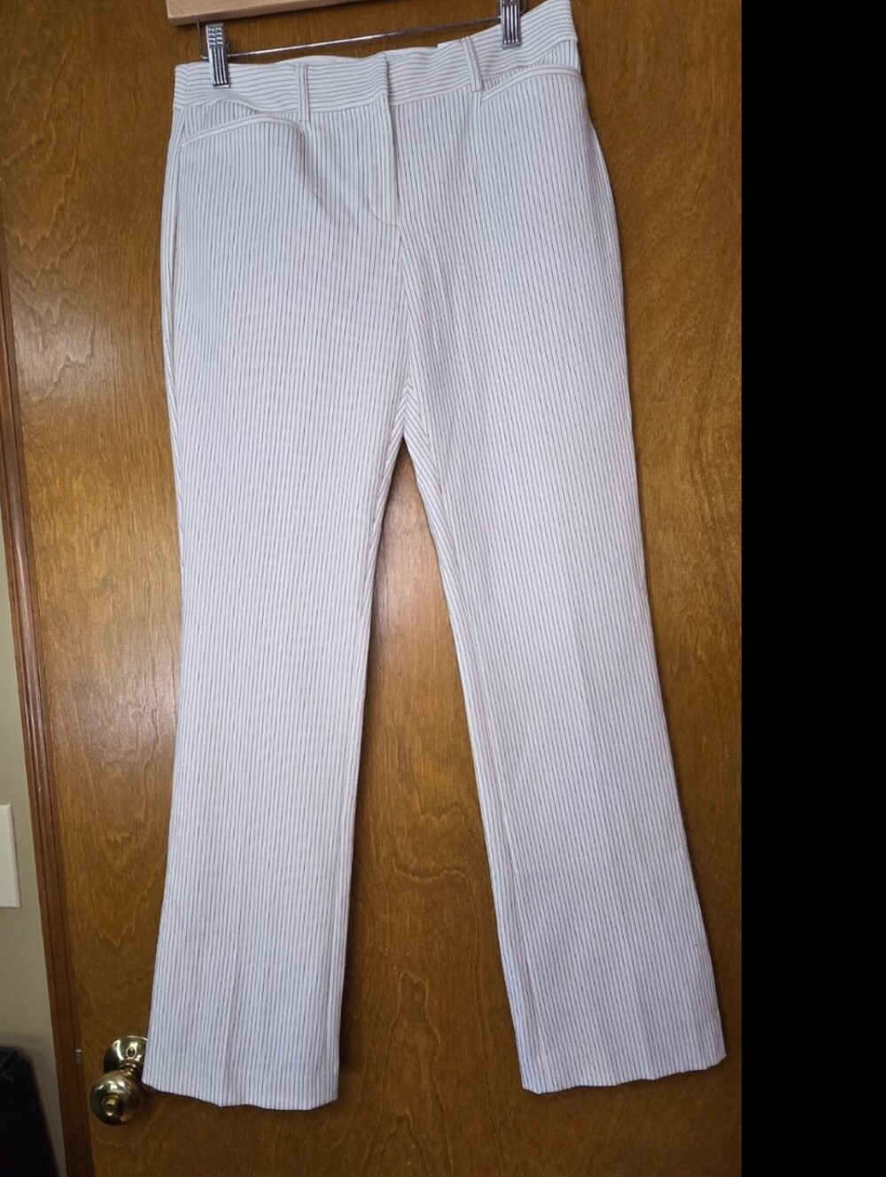 NWT Express COLUMNIST Barely Boot Mid-Rise 4 Short 29 Inseam Pin Stripe Pants